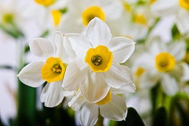 单人开发的虚幻5版“尼尔”游戏《AIKODE》演示曝光